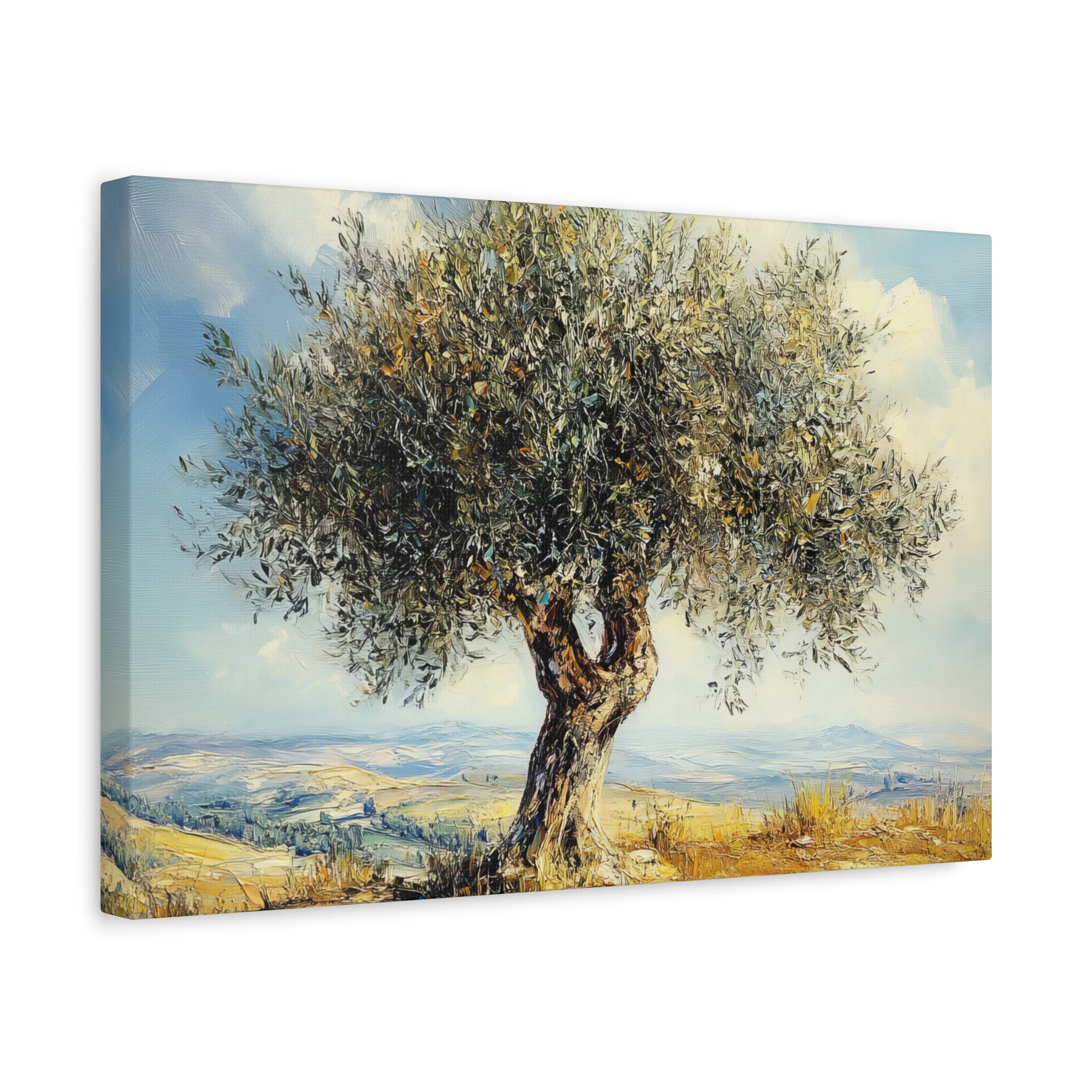 Judean Hills Olive Tree Painting Canvas Israel Art