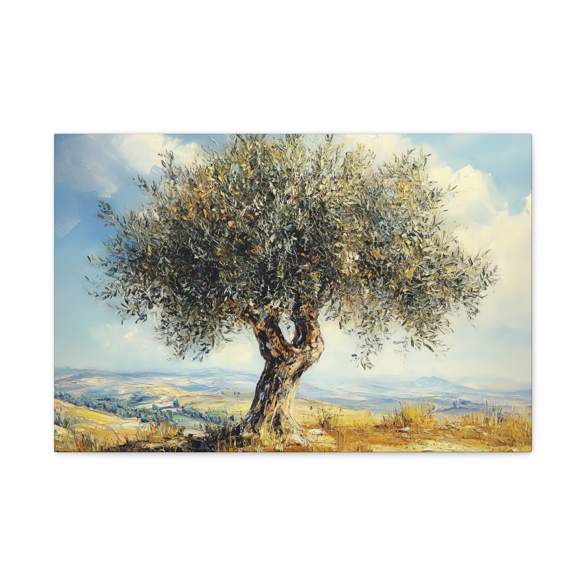 Judean Hills Olive Tree Painting Canvas Israel Art