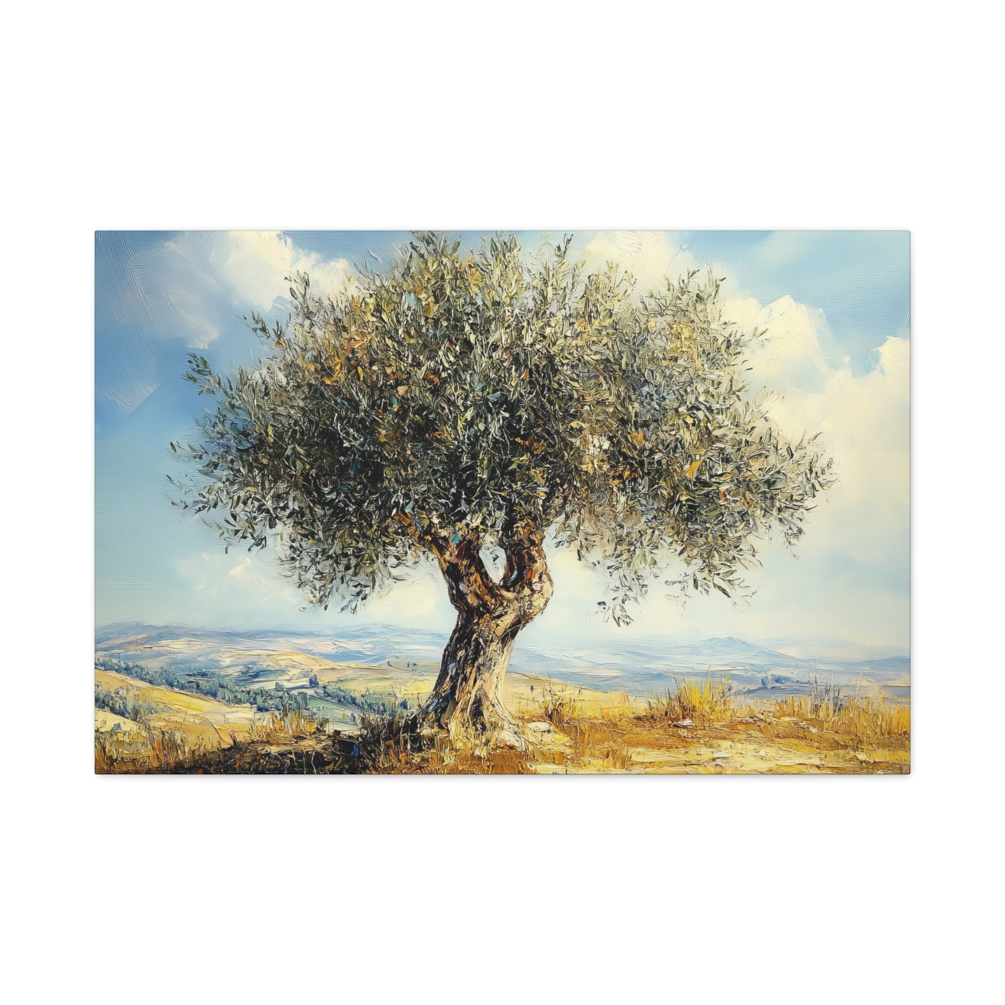 Judean Hills Olive Tree Painting Canvas Israel Art