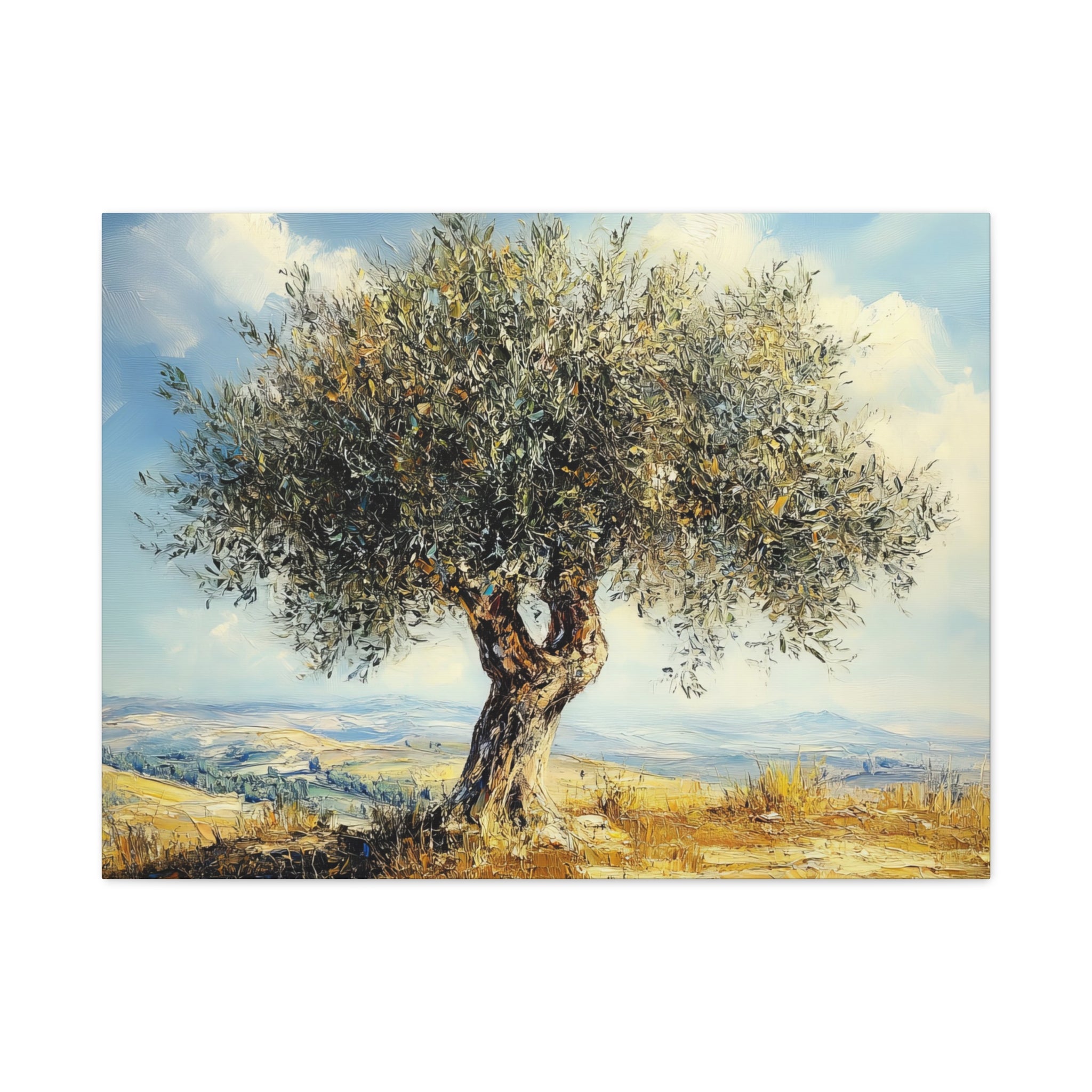 Judean Hills Olive Tree Painting Canvas Israel Art