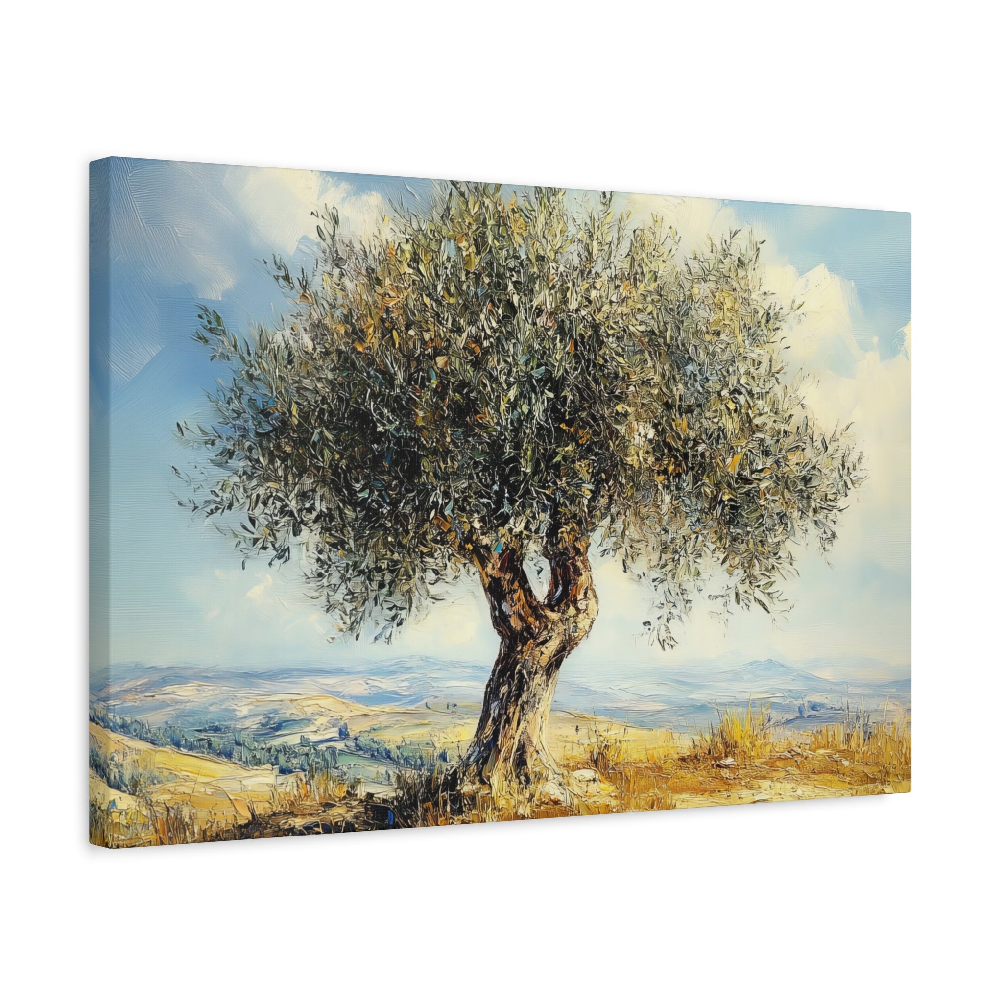 Judean Hills Olive Tree Painting Canvas Israel Art