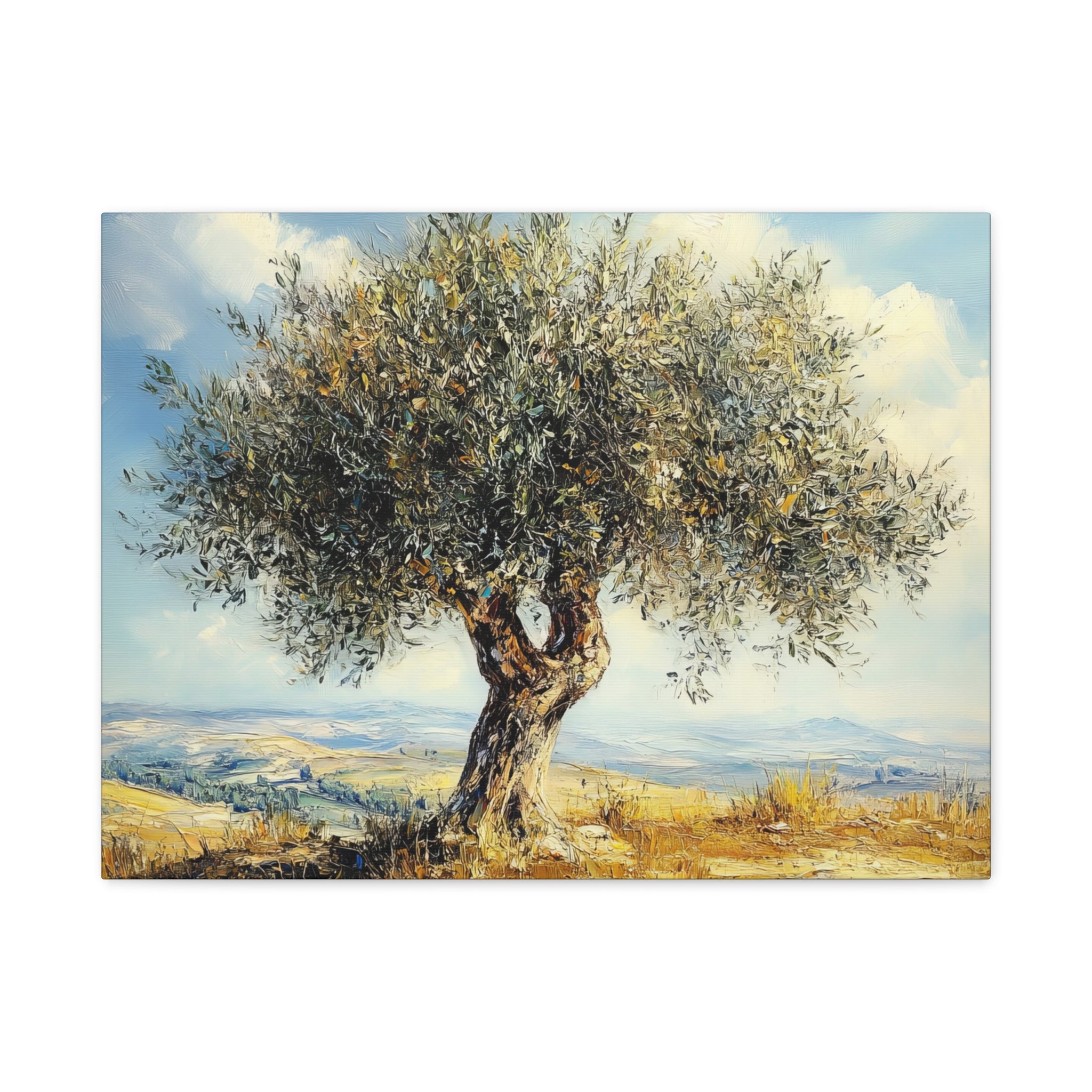 Judean Hills Olive Tree Painting Canvas Israel Art