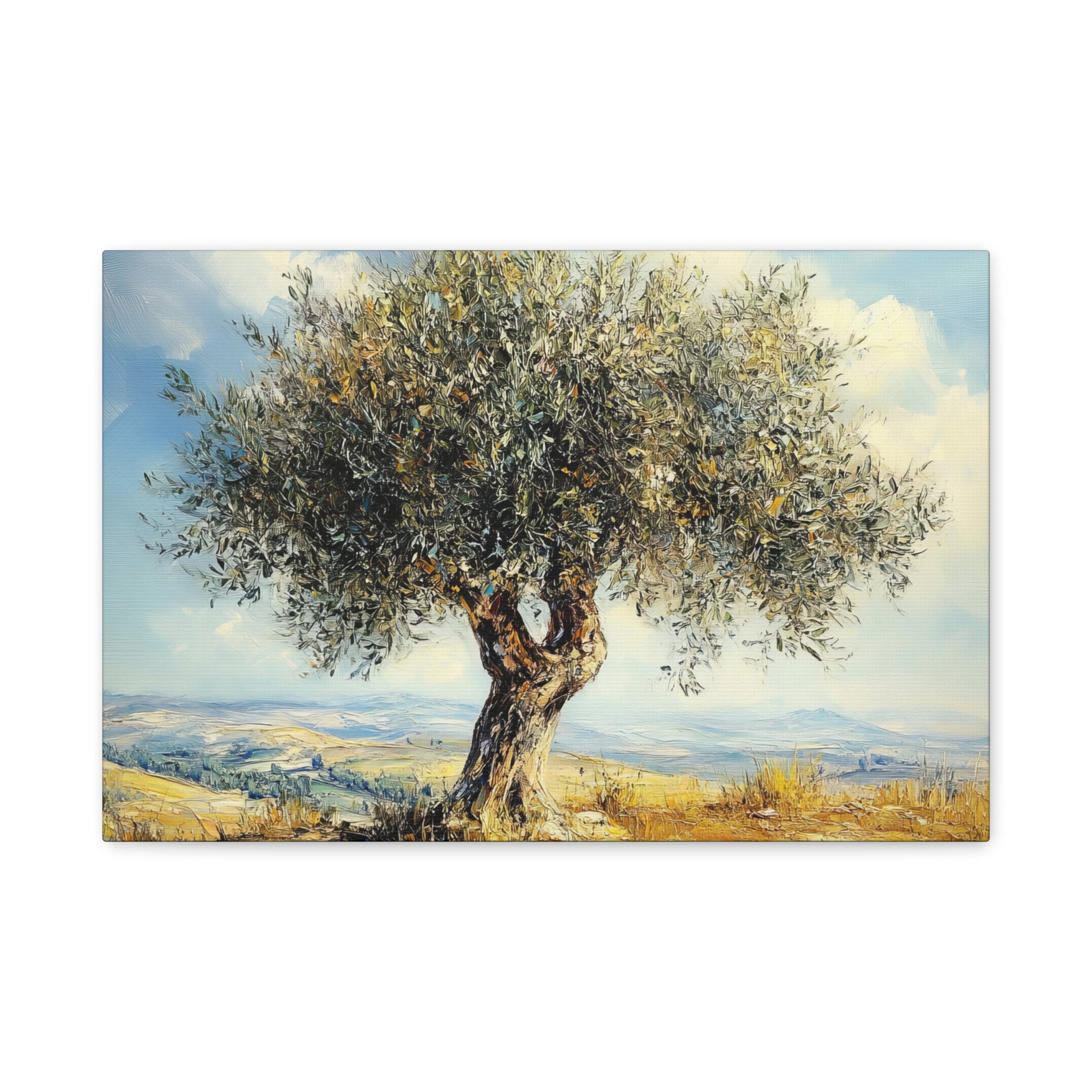Judean Hills Olive Tree Painting Canvas Israel Art