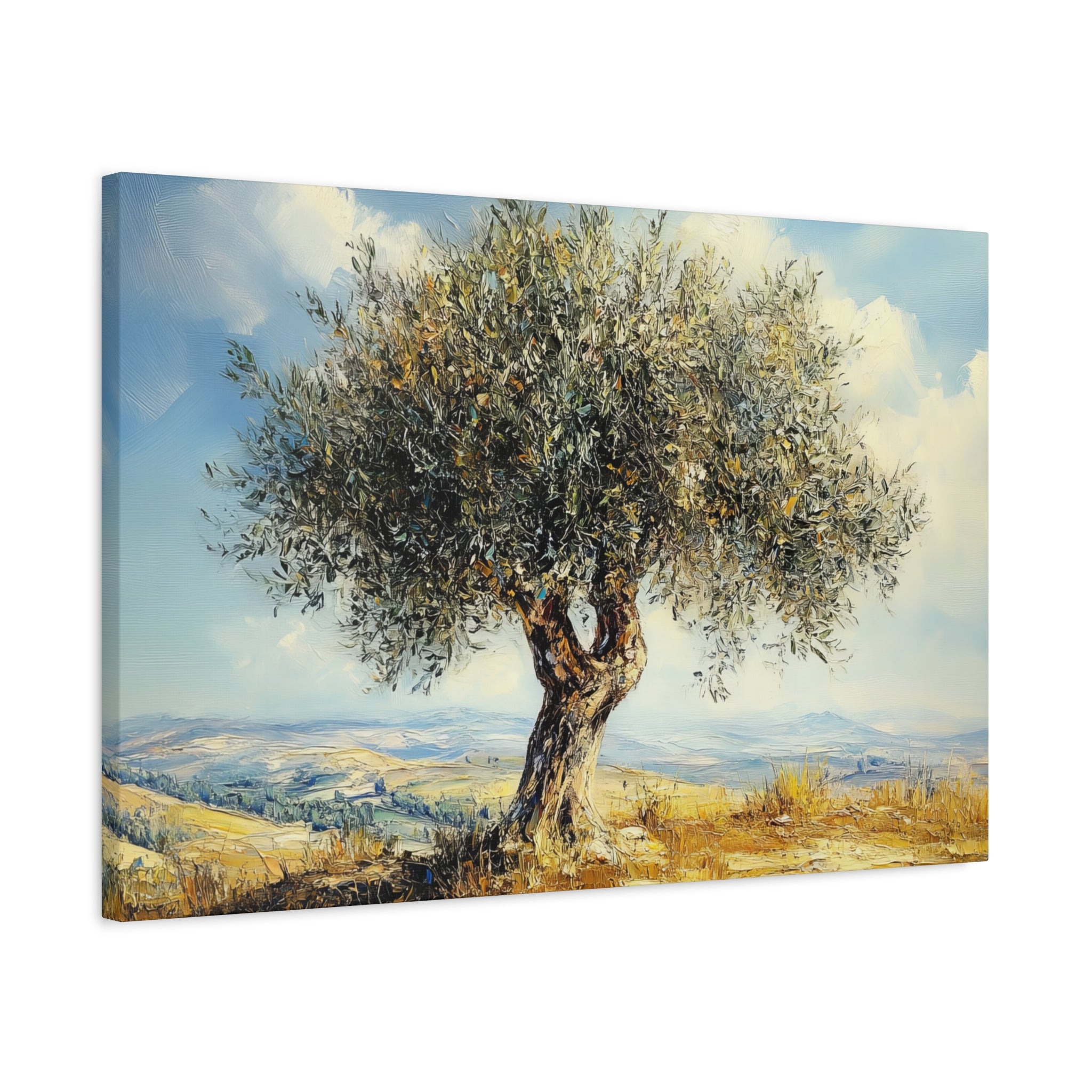 Judean Hills Olive Tree Painting Canvas Israel Art