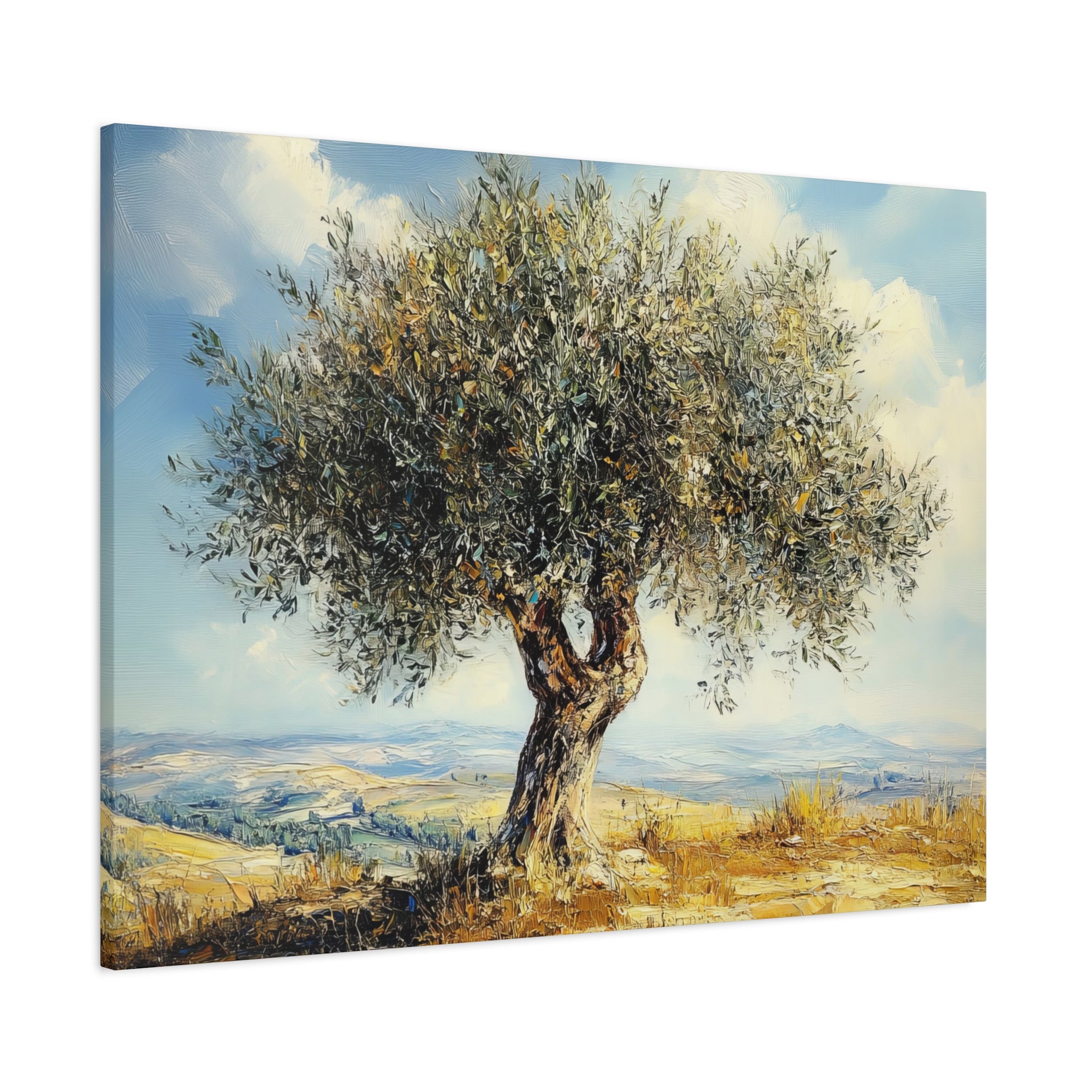 Judean Hills Olive Tree Painting Canvas Israel Art
