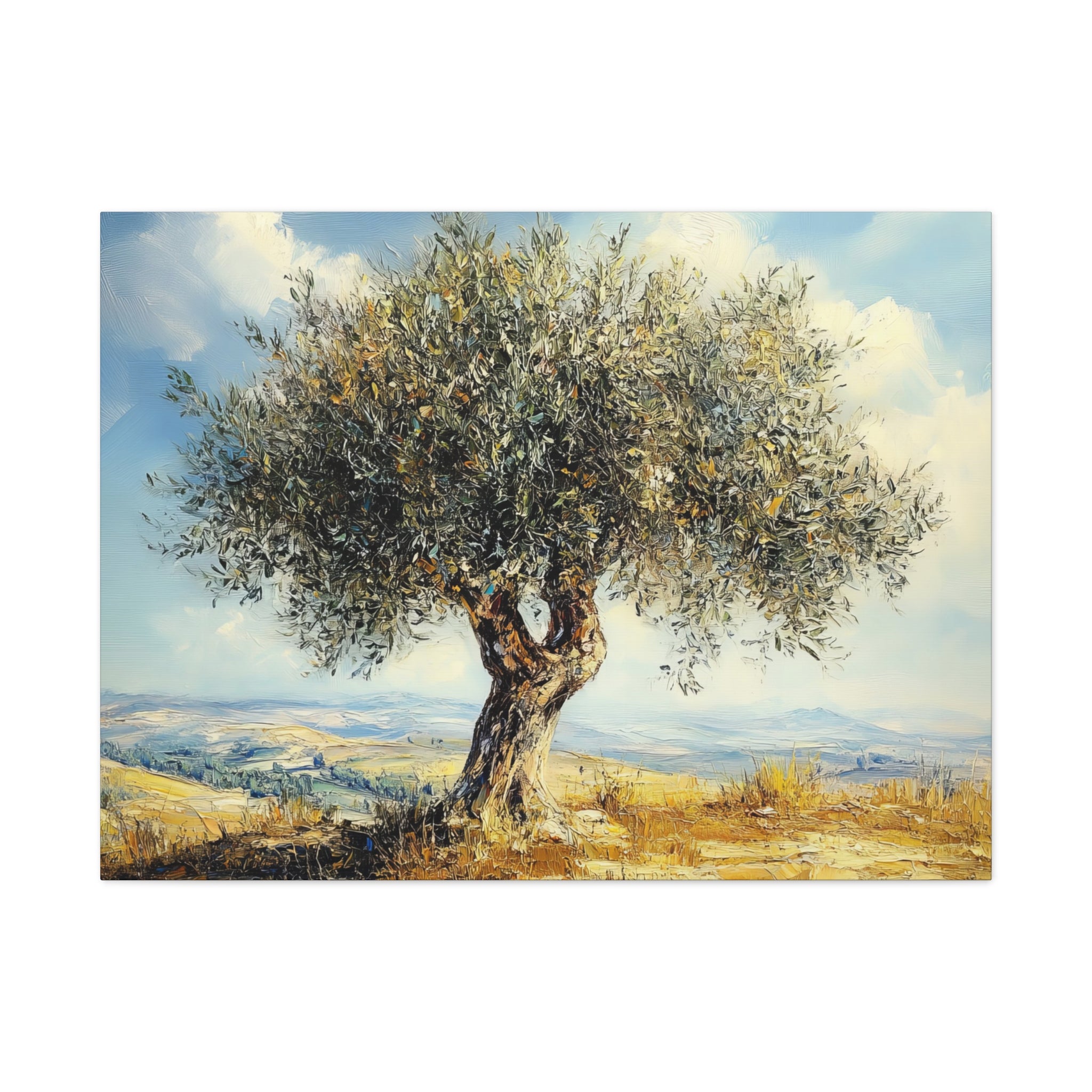 Judean Hills Olive Tree Painting Canvas Israel Art