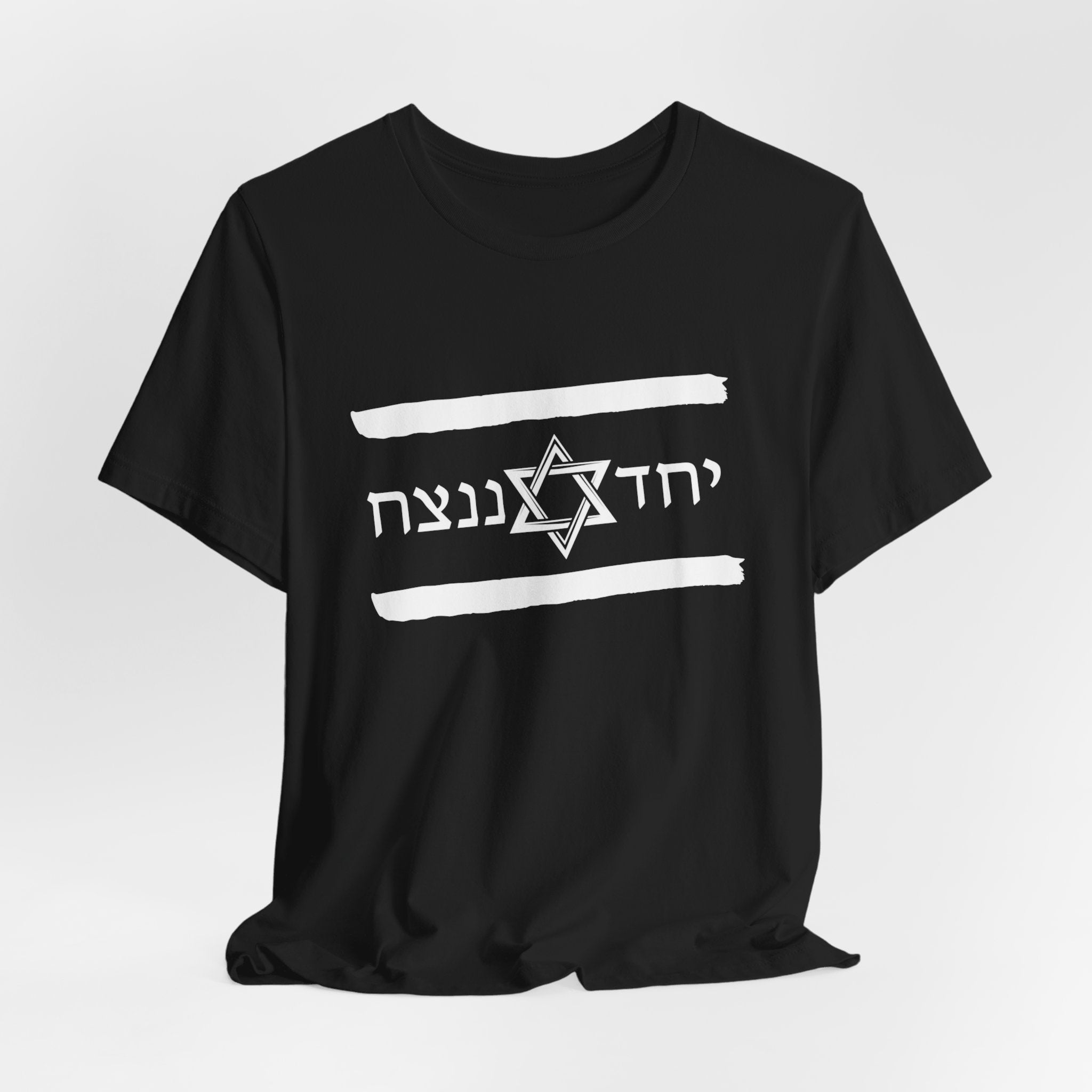 Israel Flag T-Shirt, Together We'll Win Shirt