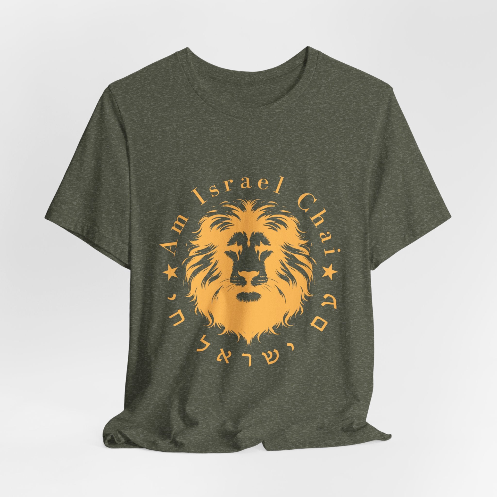 Lion Am Israel Chai T-Shirt