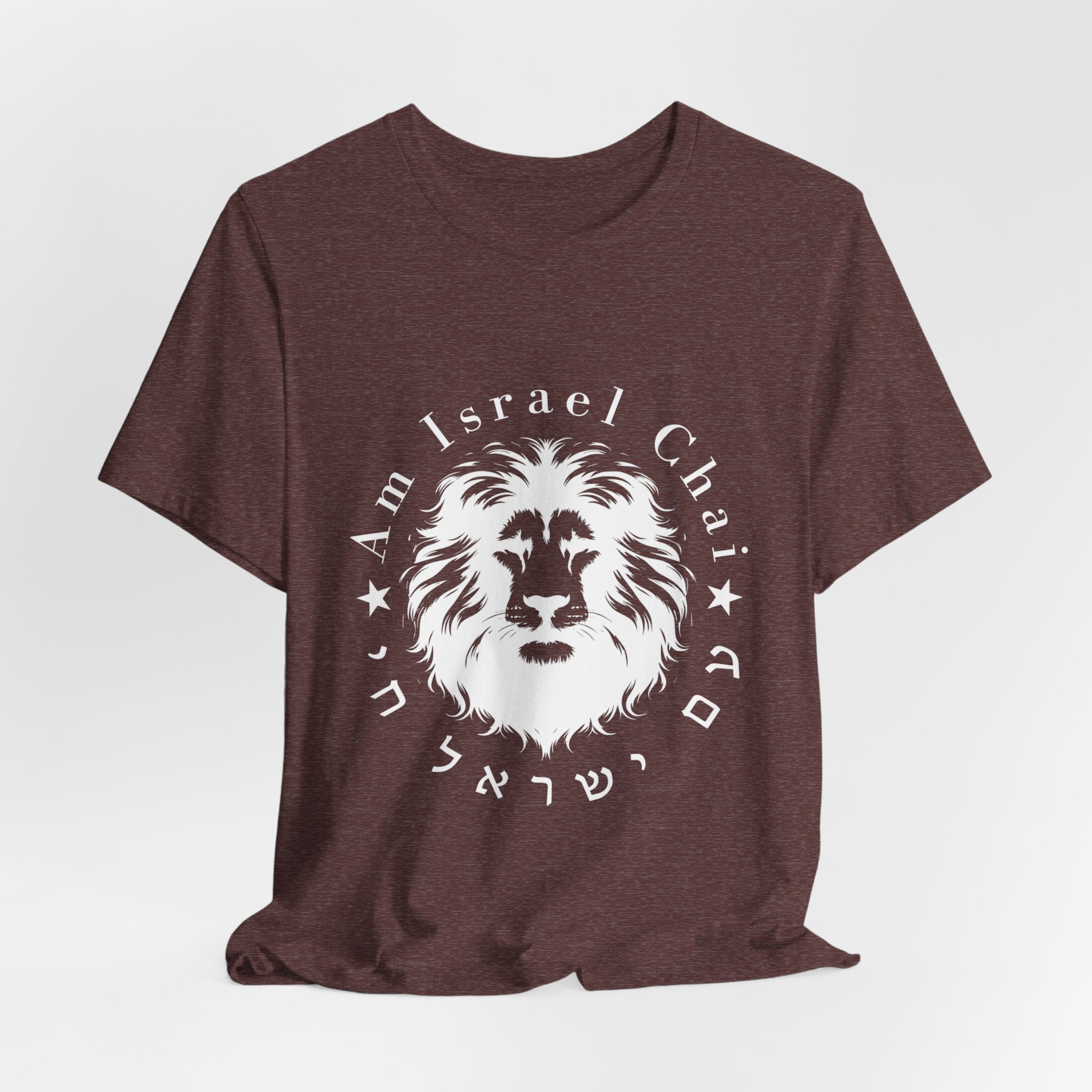 Lion Am Israel Chai T-Shirt