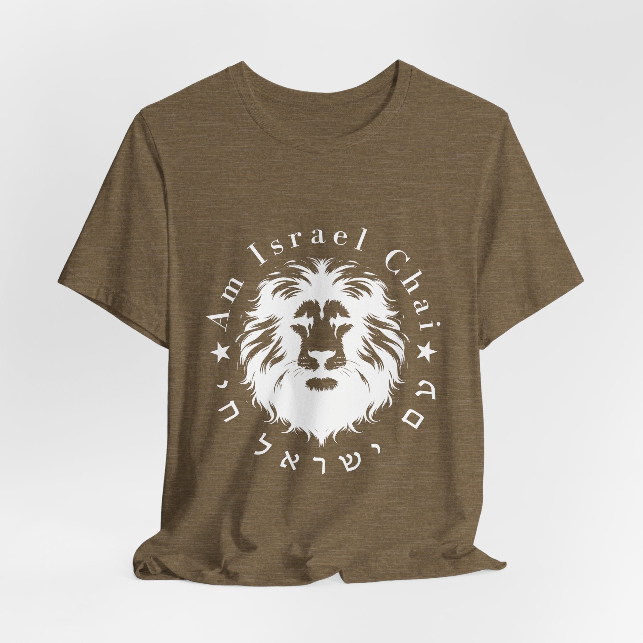 Lion Am Israel Chai T-Shirt