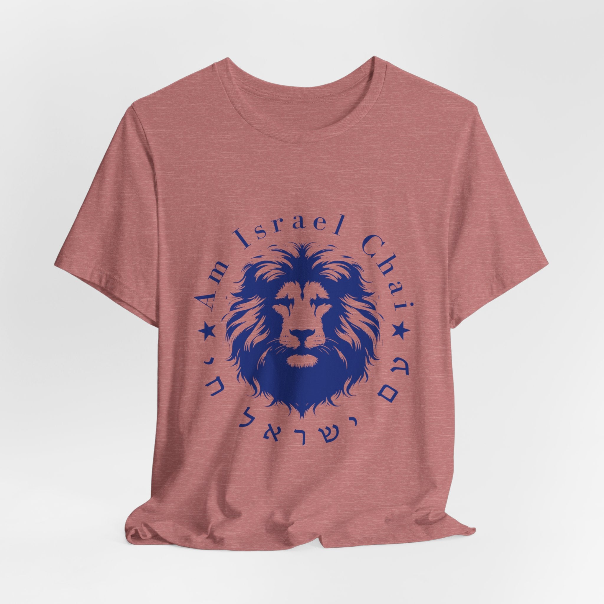 Lion Am Israel Chai T-Shirt