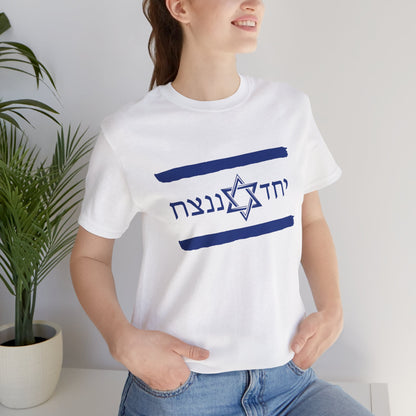 Israel Flag T-Shirt, Together We'll Win Shirt