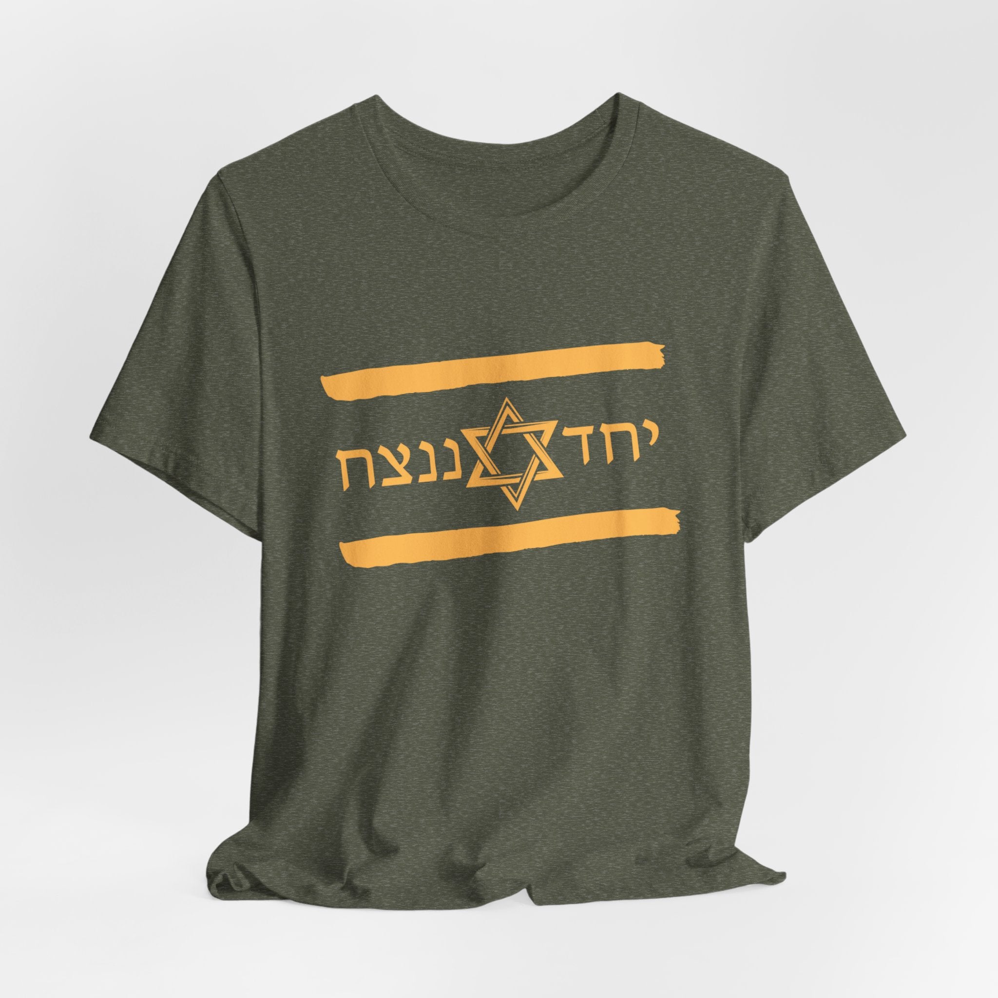 Israel Flag T-Shirt, Together We'll Win Shirt