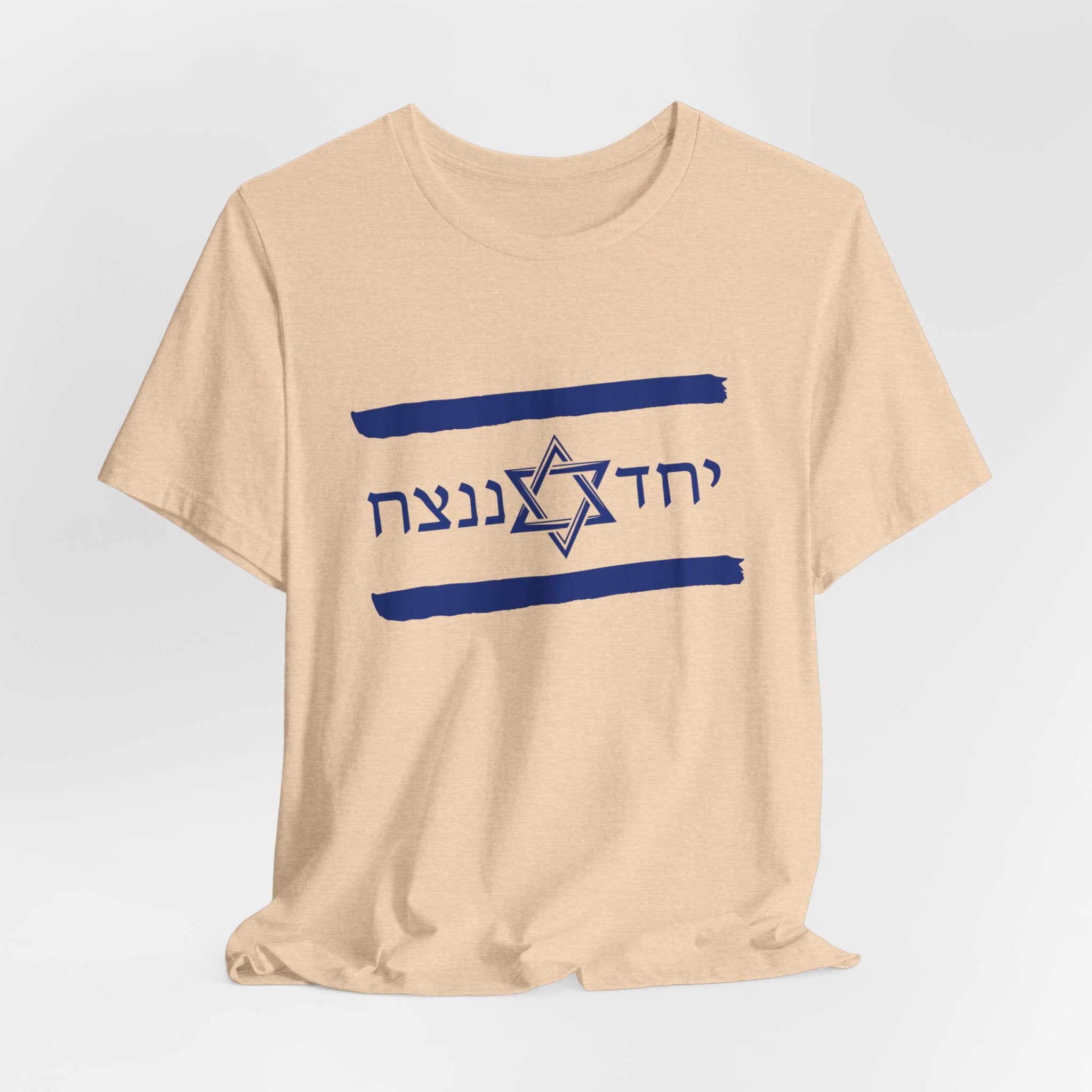 Israel Flag T-Shirt, Together We'll Win Shirt