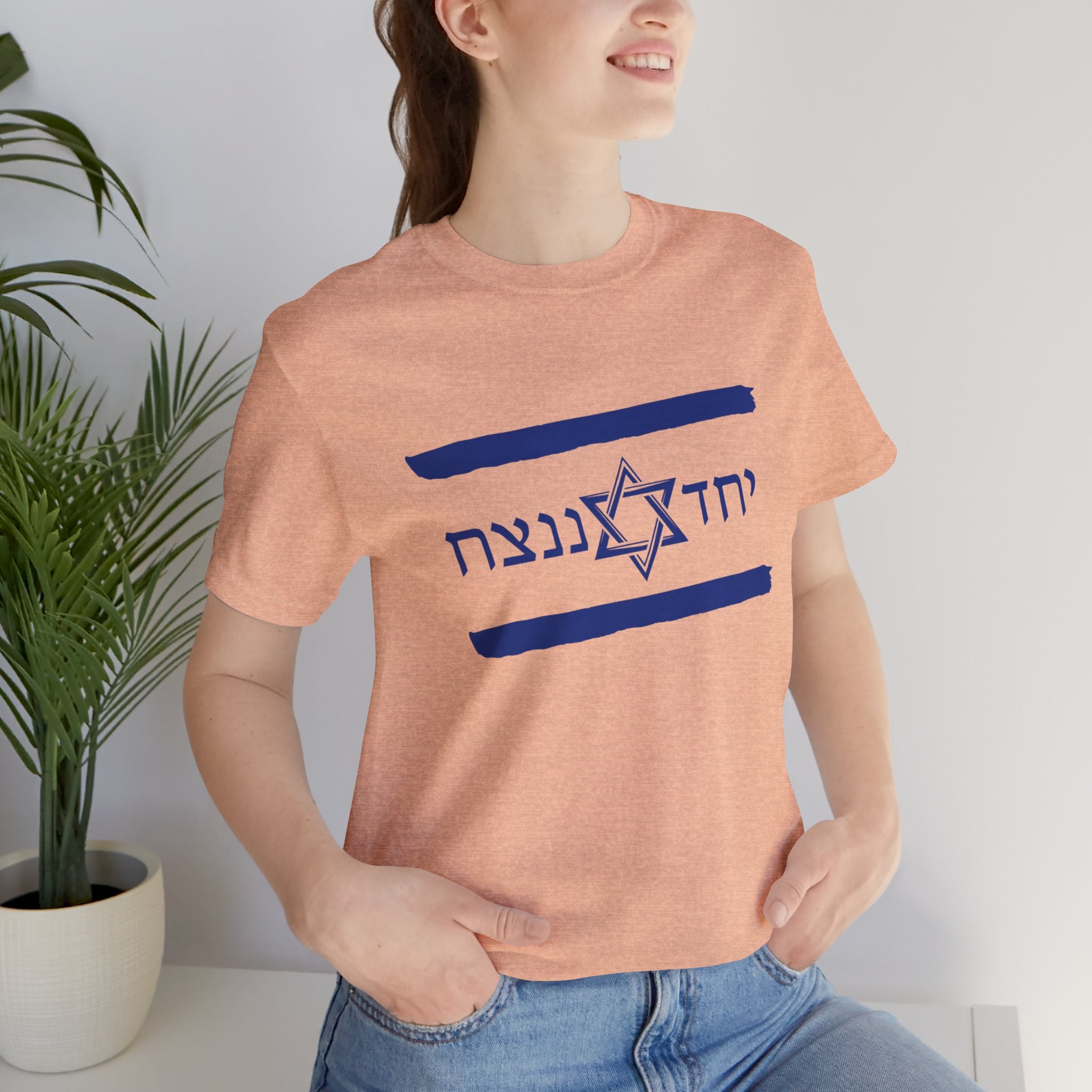 Israel Flag T-Shirt, Together We'll Win Shirt