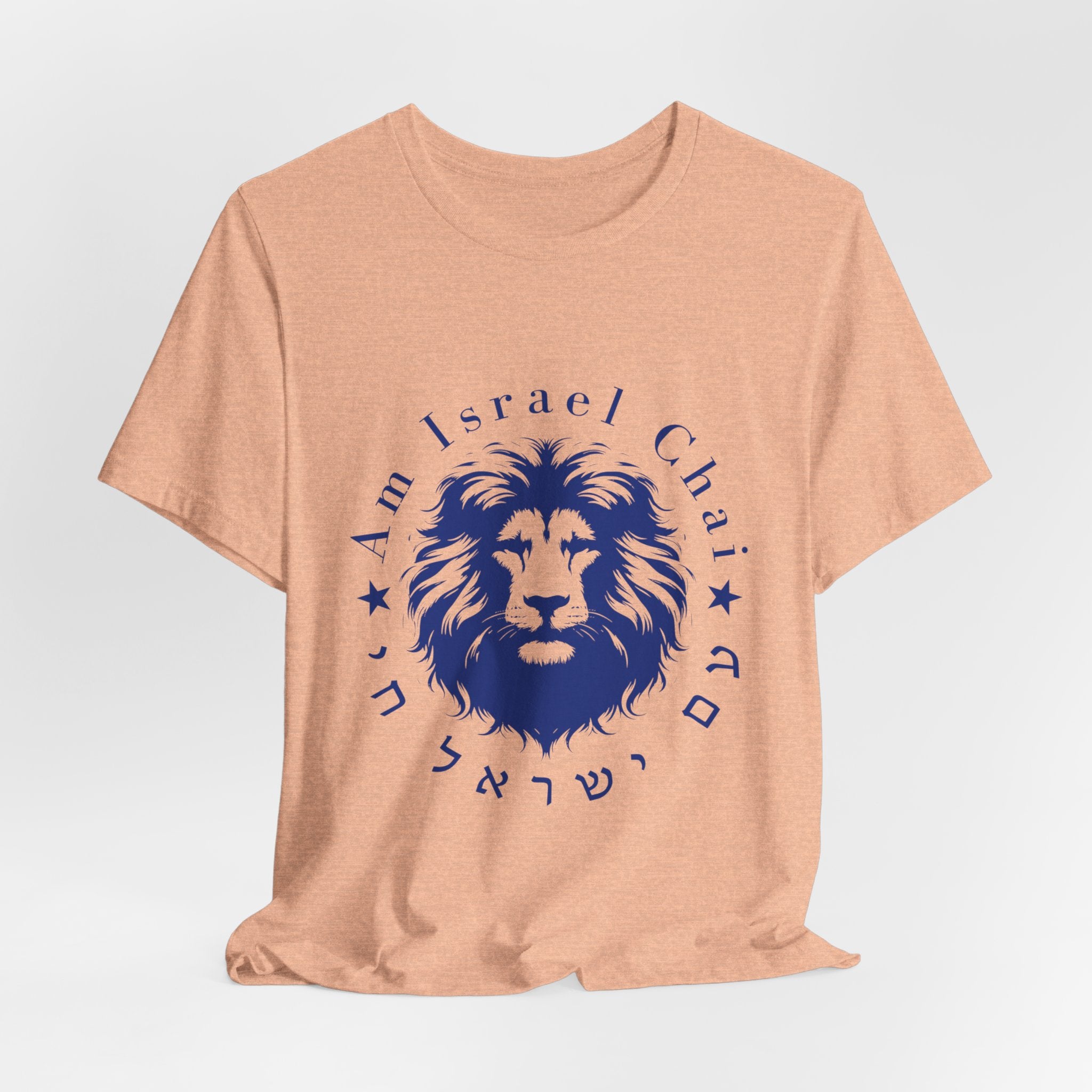 Lion Am Israel Chai T-Shirt