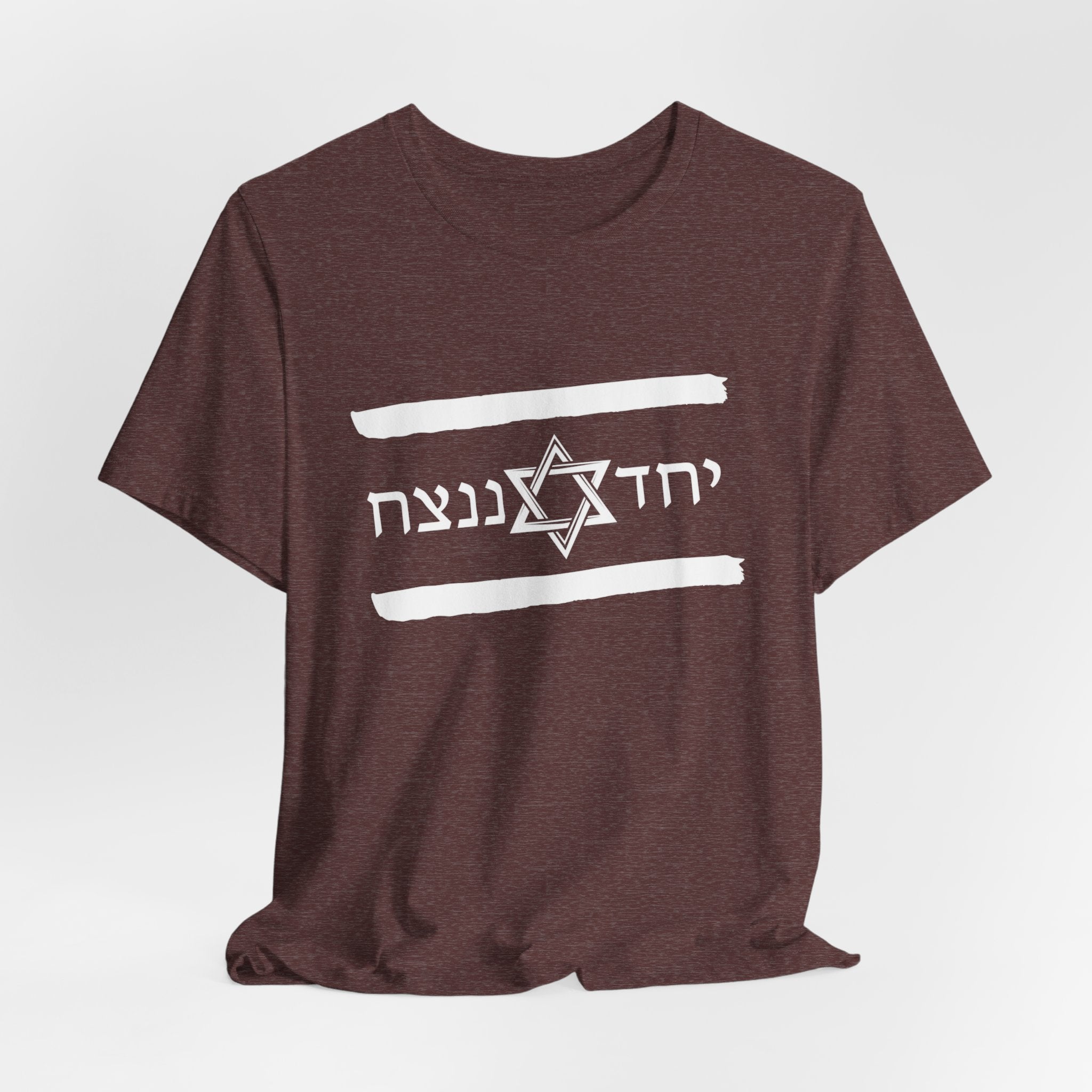 Israel Flag T-Shirt, Together We'll Win Shirt