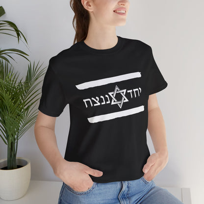 Israel Flag T-Shirt, Together We'll Win Shirt