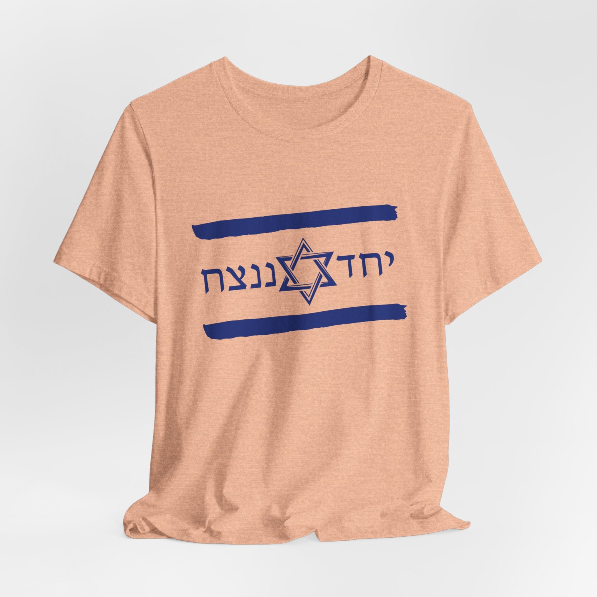 Israel Flag T-Shirt, Together We'll Win Shirt