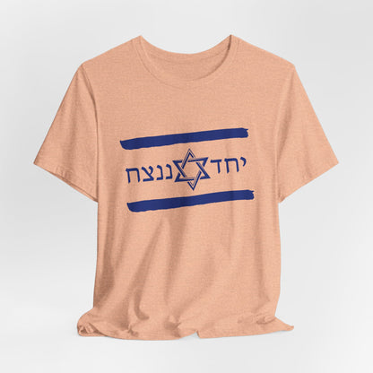 Israel Flag T-Shirt, Together We'll Win Shirt